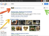 Google pubblicizza la privacy on line